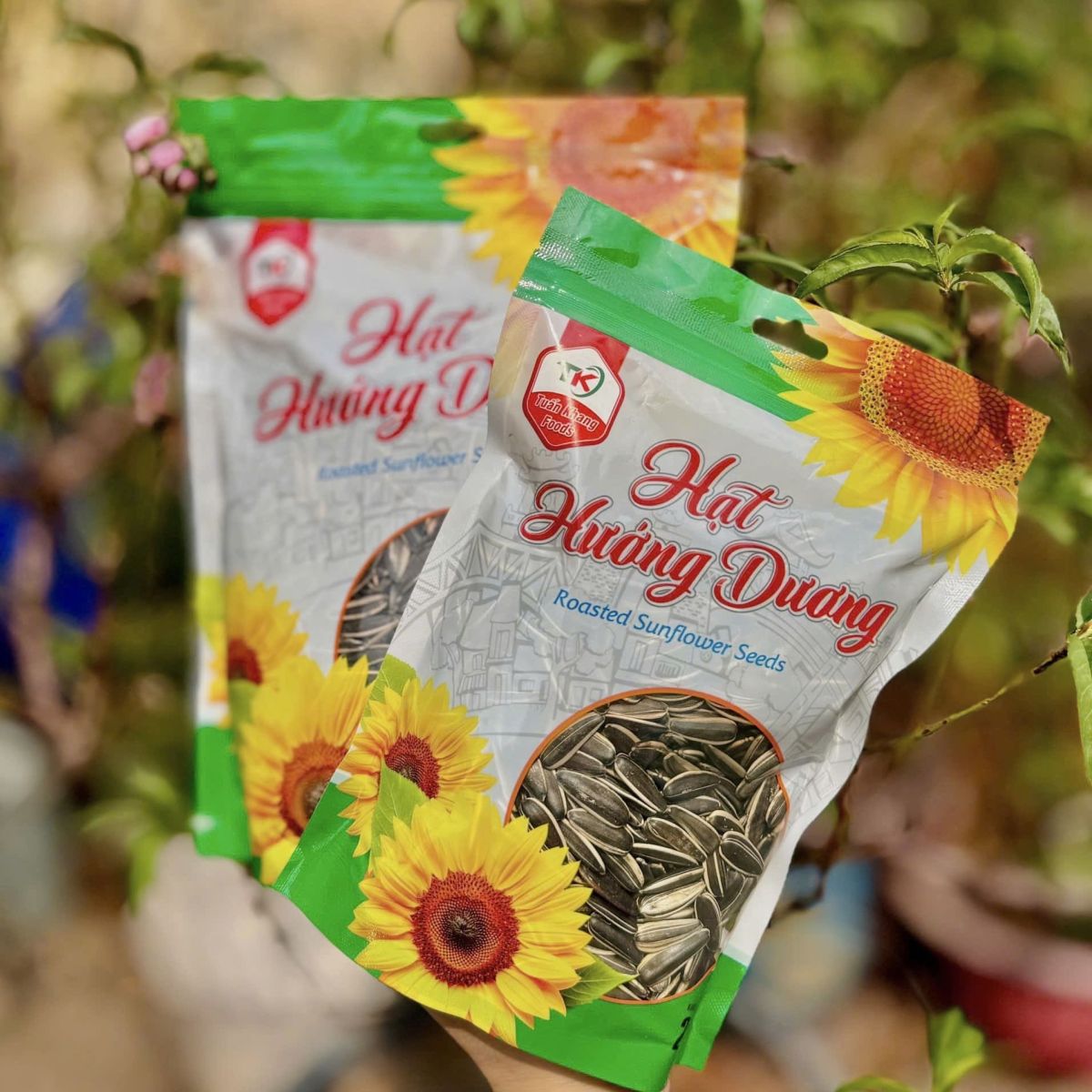 Hạt Hướng Dương Tuấn Khang 