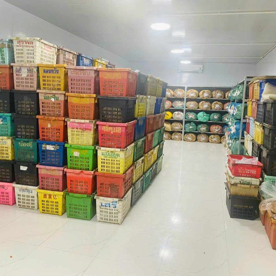 Long Nhãn Sấy Khô 