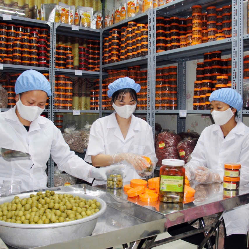 Trái Sấu Ngâm Đường 