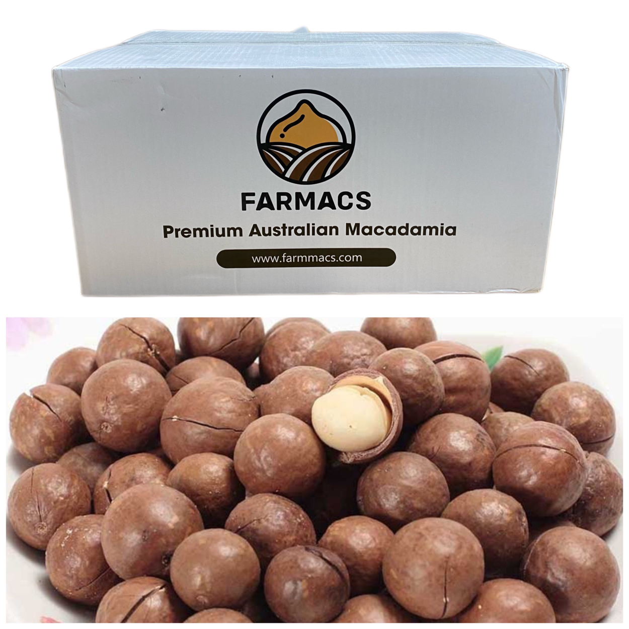 Hạt Macca Úc Farmacs