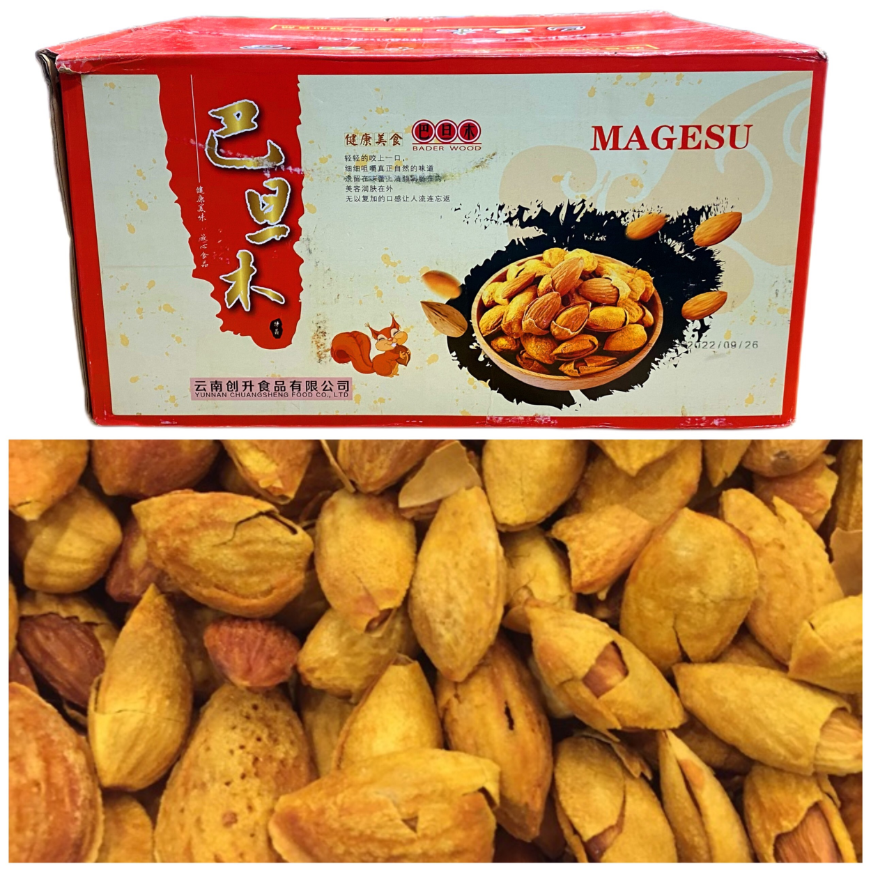 Hạnh Nhân Con Sóc